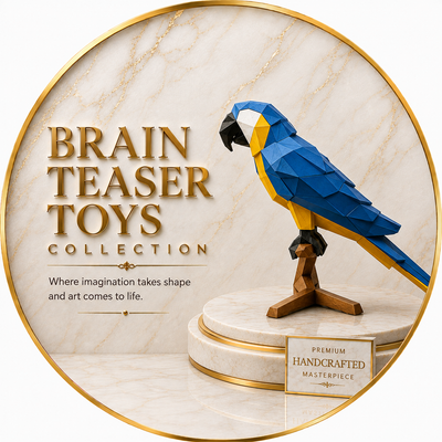 Brain teaser toys