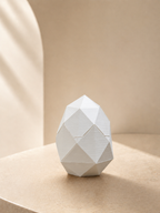 Hatching Chick Egg(CE11)