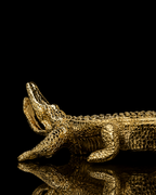 Big crocodile(A069-2)