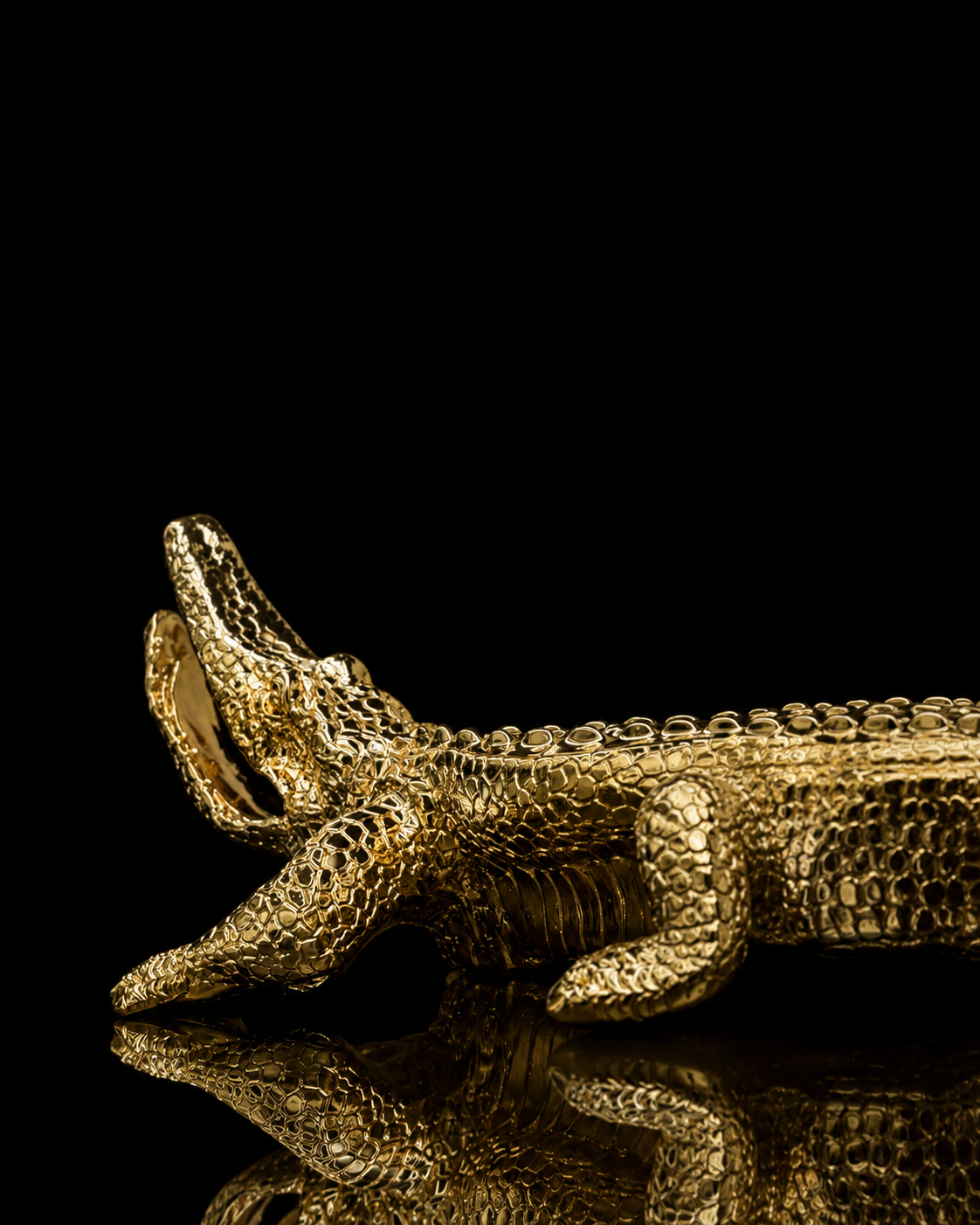 Big crocodile(A069-2)