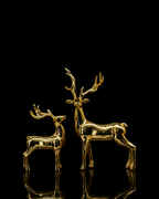 Small deer(A612)