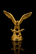 big eagle(A596)
