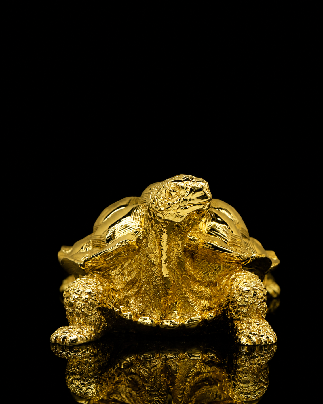Turtle(A331)
