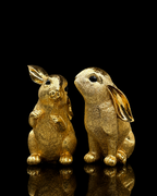 Rabbit(A458)