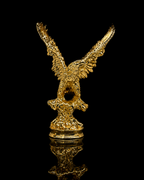 Small eagle(A454)