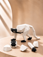 Monkey Puzzle Toy(MO33)