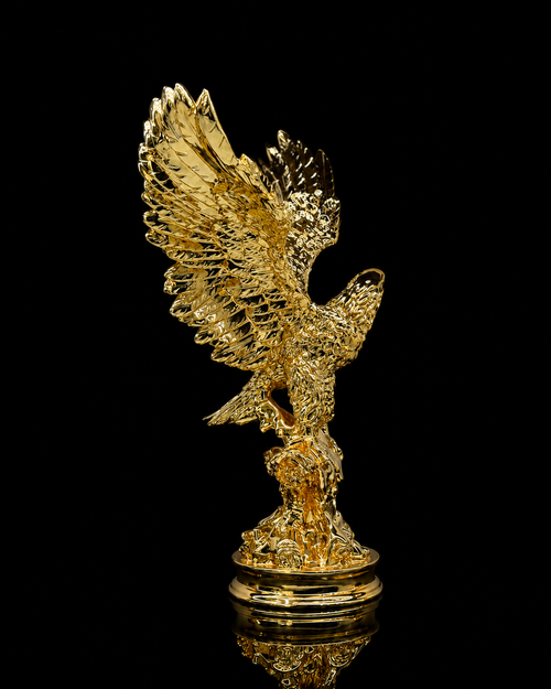 big eagle(A596)