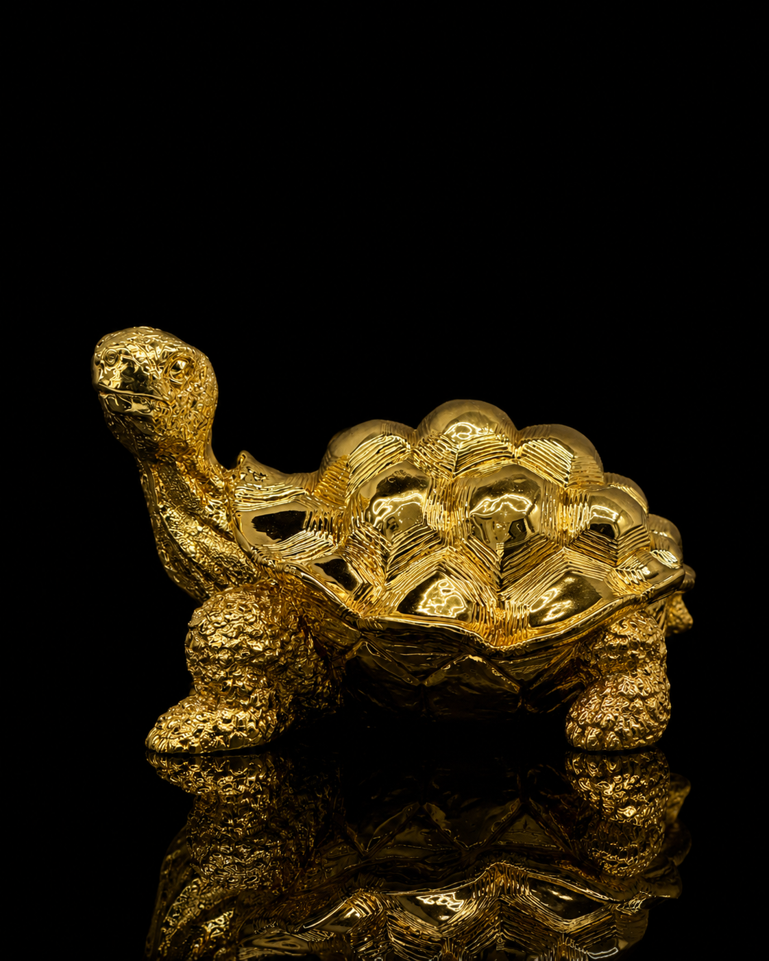 Turtle(A331)