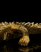 Big crocodile(A069-2)