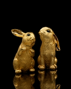 Rabbit(A458)