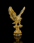 Small eagle(A454)