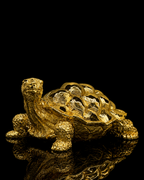 Turtle(A331)