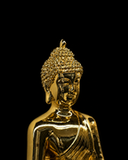 Budhdha(A590)