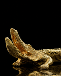 Big crocodile(A069-2)