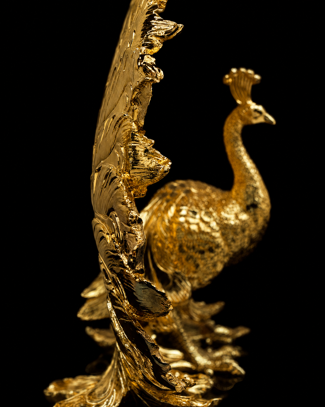 Peacock(A599)