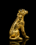 Dog(A307)