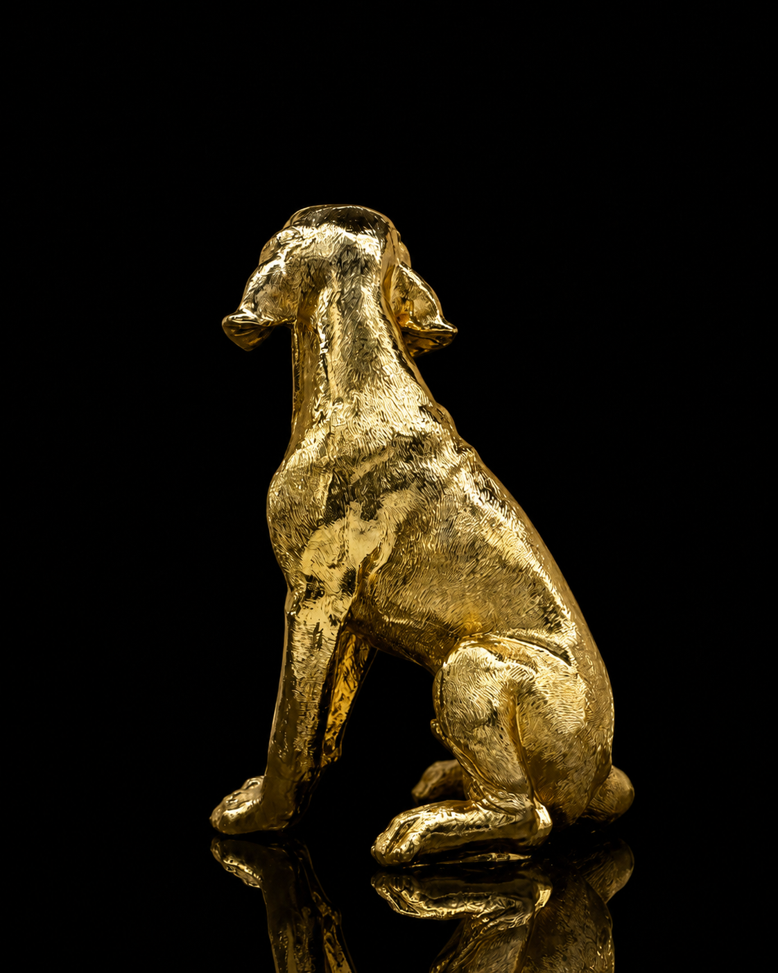 Dog(A307)