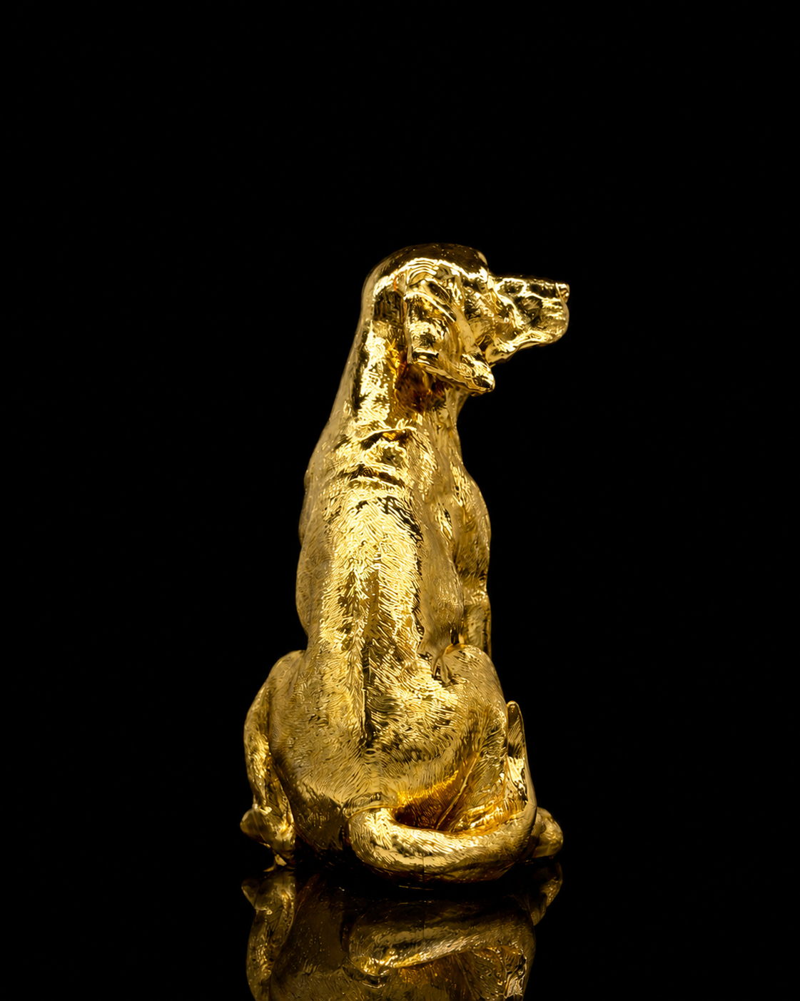 Dog(A307)