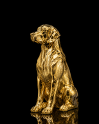 Dog(A307)